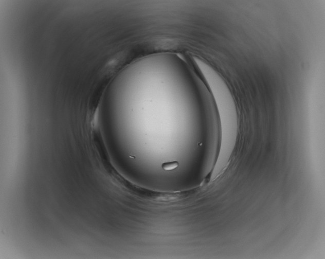 X0000113200172200909101119