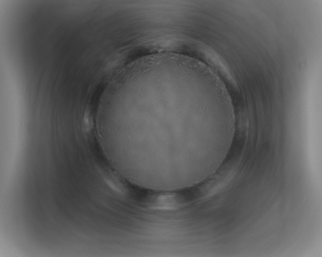 X0000113200173200909101119