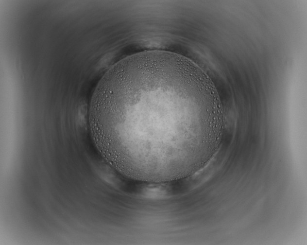 X0000113200175200909101119