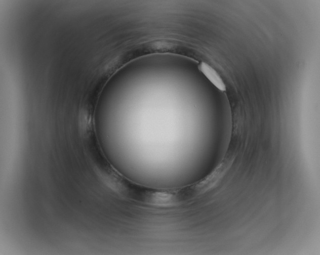 X0000113200176200909101119