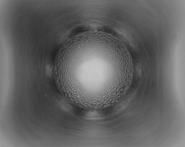 X0000113200177200909101119