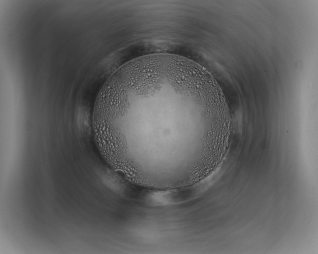 X0000113200178200909101119