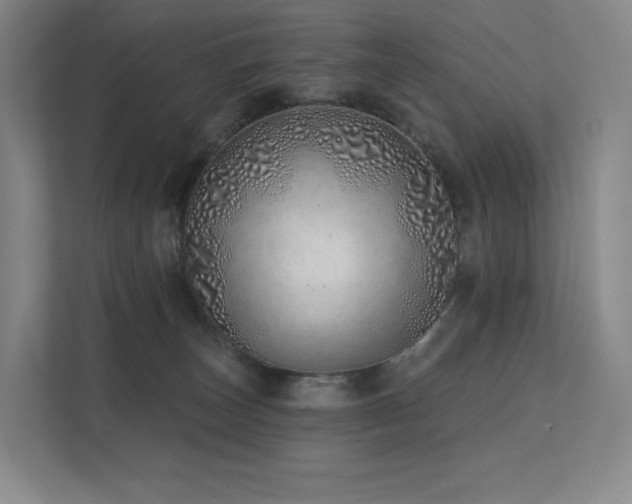 X0000113200179200909101119