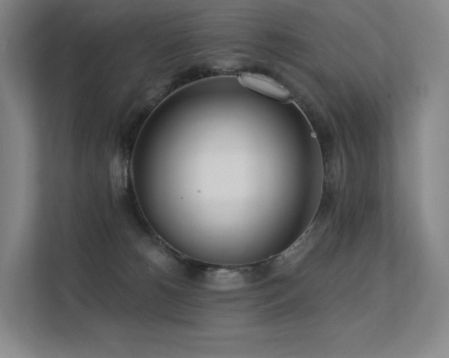 X0000113200180200909101119