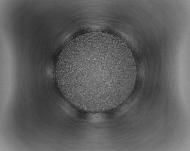 X0000113200181200909101119