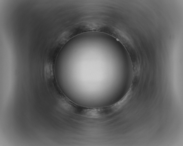 X0000113200182200909101119