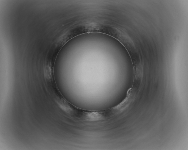 X0000113200183200909101119