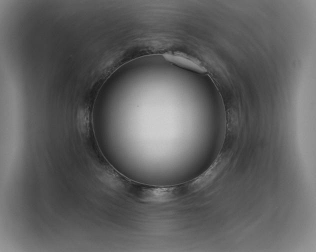 X0000113200184200909101119