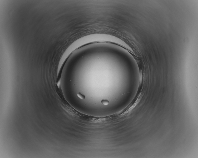 X0000113200186200909101119