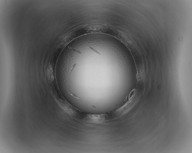 X0000113200187200909101119