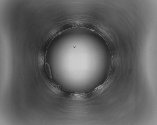 X0000113200188200909101119