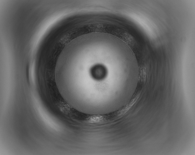 X0000113200189200909101119