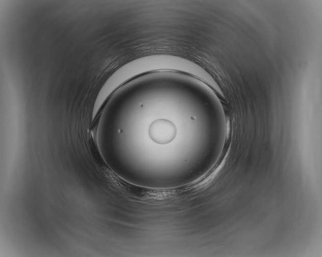 X0000113200190200909101119