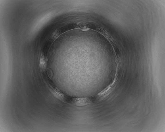 X0000113200191200909101119