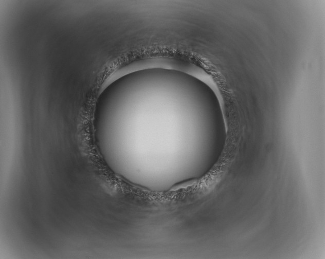 X0000113200192200909101119