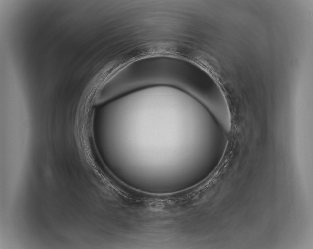 X0000113200193200909101119