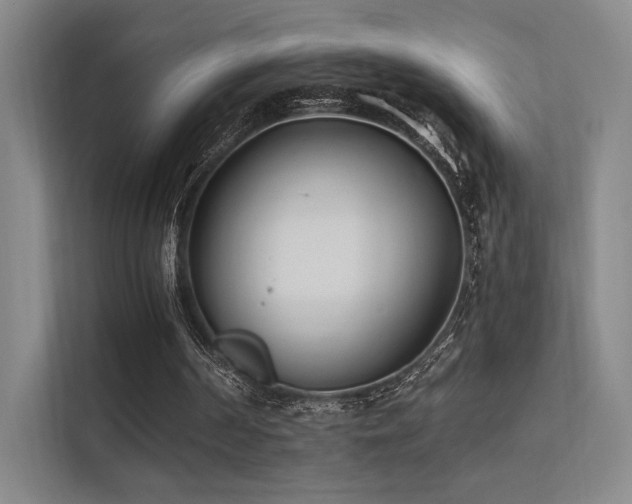 X0000113200194200909101119