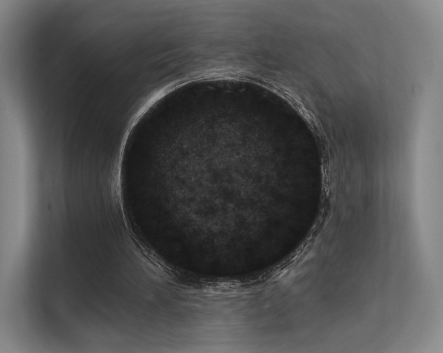 X0000113200196200909101119