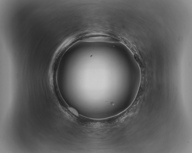 X0000113200197200909101118