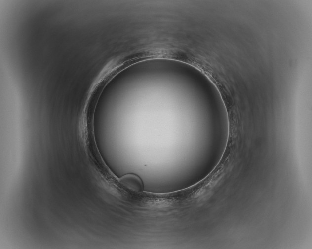 X0000113200198200909101118