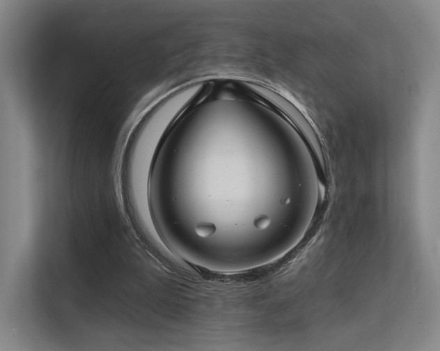 X0000113200199200909101118