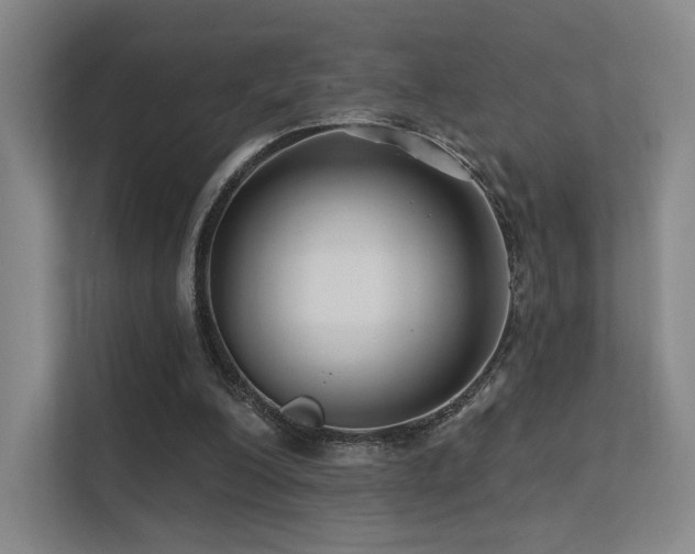 X0000113200200200909101118