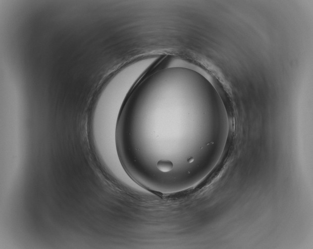 X0000113200201200909101118