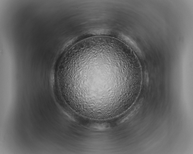 X0000113200202200909101118