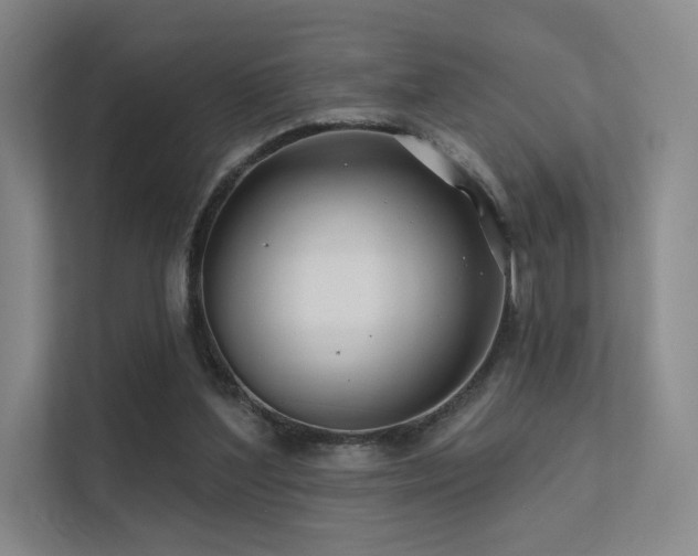 X0000113200204200909101118