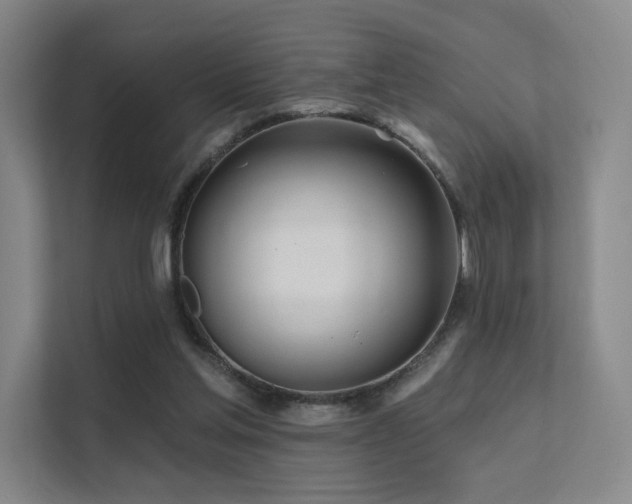 X0000113200205200909101118