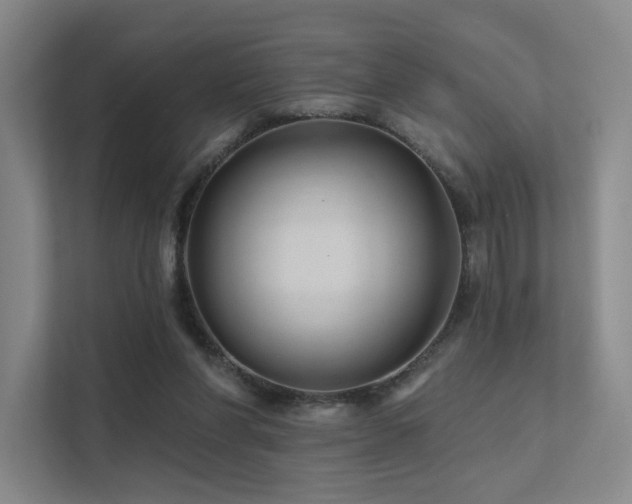 X0000113200206200909101118