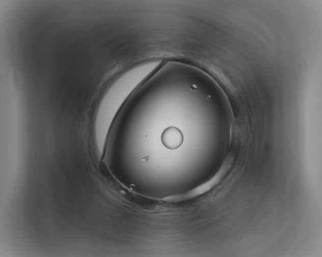 X0000113200207200909101118