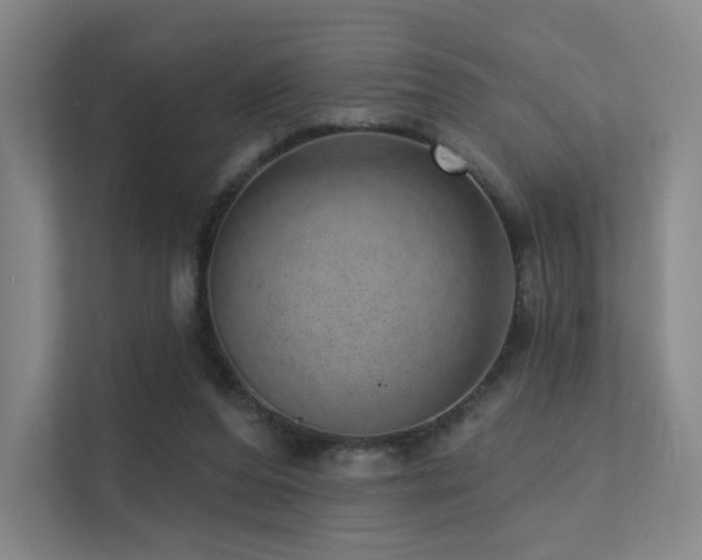 X0000113200208200909101118