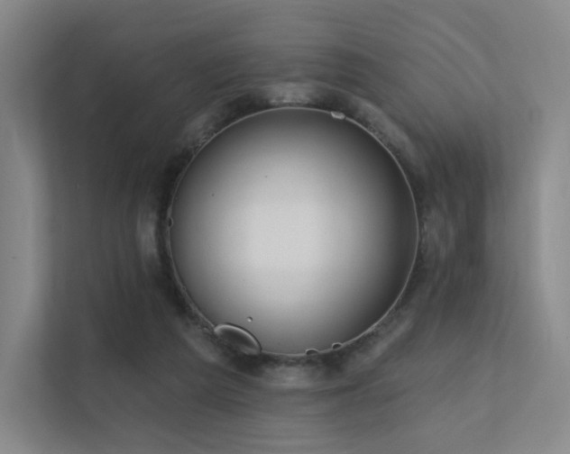 X0000113200209200909101118