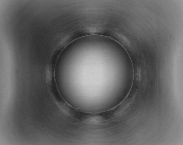 X0000113200210200909101118