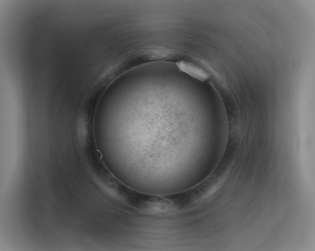 X0000113200215200909101118