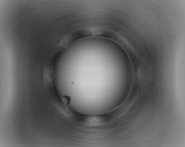 X0000113200218200909101118