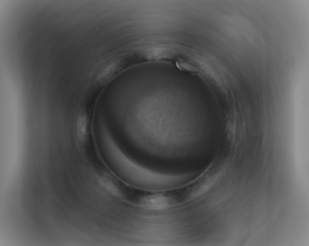 X0000113200219200909101118