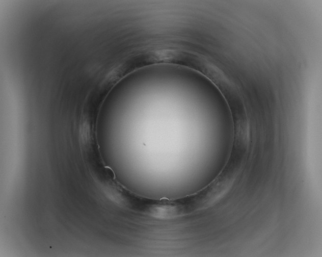 X0000113200220200909101118