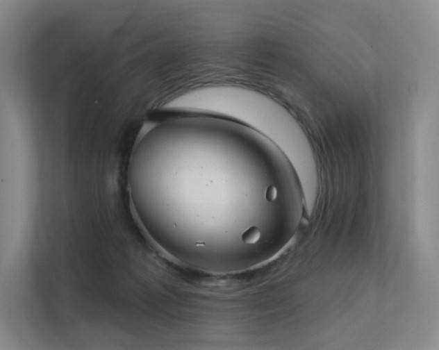 X0000113200221200909101118