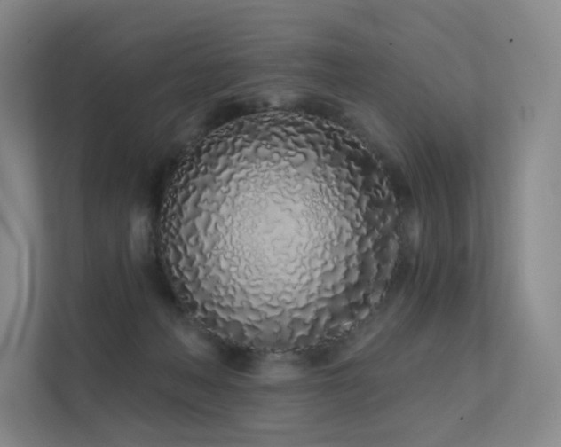 X0000113200222200909101118