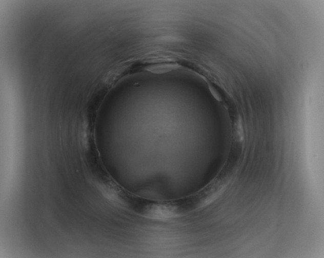 X0000113200223200909101118