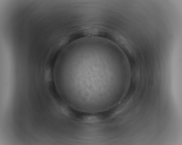 X0000113200224200909101118