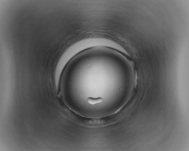 X0000113200225200909101118