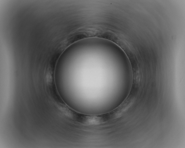 X0000113200226200909101118