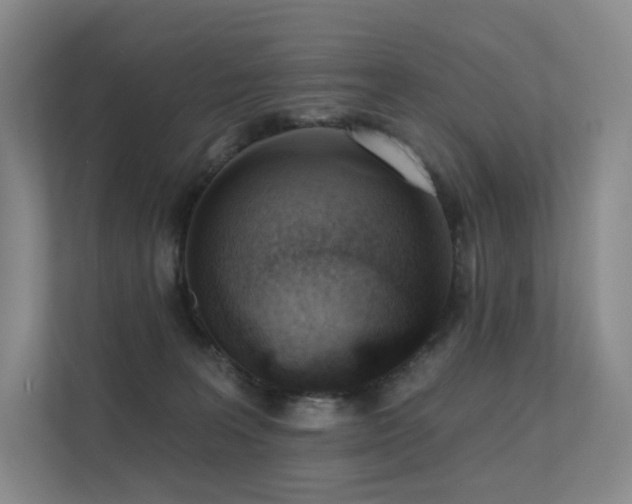 X0000113200227200909101118