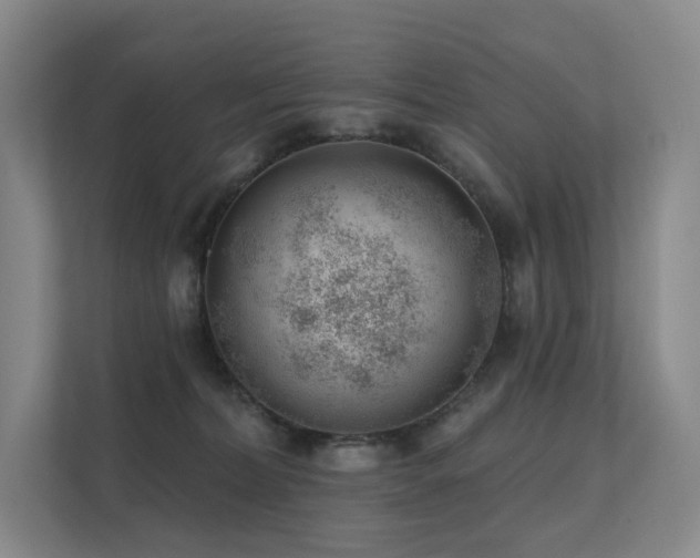 X0000113200228200909101118