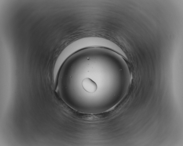 X0000113200229200909101118