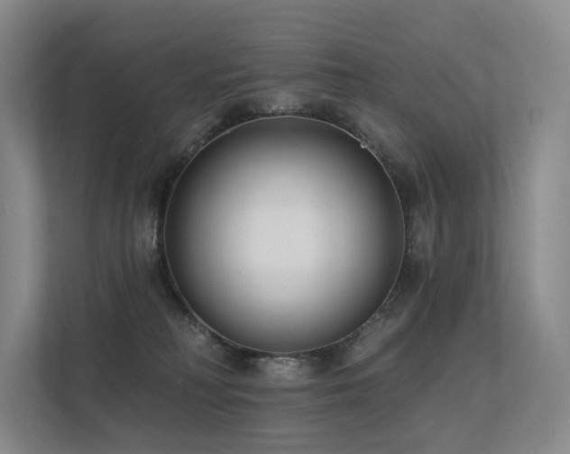 X0000113200230200909101118