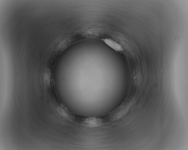 X0000113200231200909101118